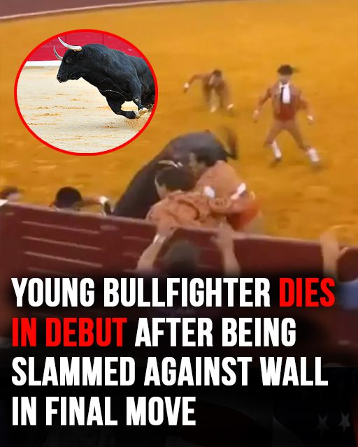 Young bullfighter dies in debut after being slammed against wall in front of crowd