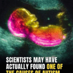 Could a Mother’s Gut Bacteria Influence Autism Risk? New Study Explores the Link