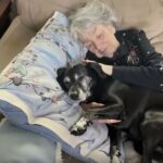 I Took in My Late Grandma’s Dog — Then Found the Secret She Left Hidden Just for Me