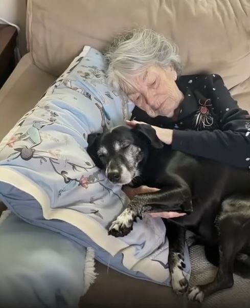I Took in My Late Grandma’s Dog — Then Found the Secret She Left Hidden Just for Me