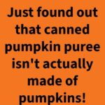 Is Your Pumpkin Purée Actually Pumpkin?