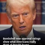 Latest Approval Numbers Show Public Sentiment Toward Donald Trump