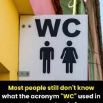 Meaning behind the ‘WC’ sign outside bathrooms