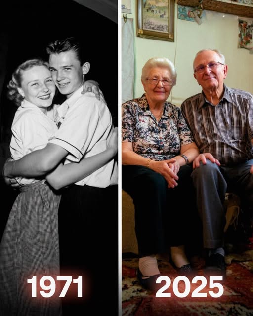 My Aunt Stole the Money Meant for My Grandparents Dream Wedding – She Never Expected What Was Coming