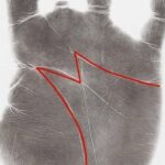 The Hidden Meaning of the “M” on Your Palm: What It Reveals About Life, Love, and Destiny