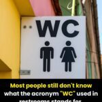 The Mystery Behind WC and Toilet Signs