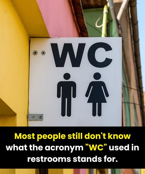 The Mystery Behind WC and Toilet Signs
