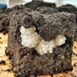 The Mystery of the White Balls in My Garden—and the Shocking Truth Beneath the Soil