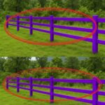 The Secret Meaning Behind a Purple Fence