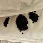 Unexpected Discovery Under My Mattress That Left Me Stunned