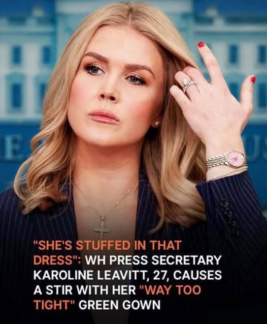 White House Press Secretary Leavitt’s Dress Sparks Controversy