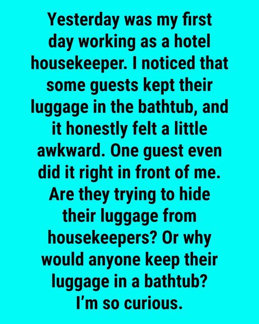 Why You Might Want to Keep Your Bags in the Bathtub During Your Stay