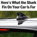 Why Your Car Has a Shark Fin Antenna — and What It Really Does