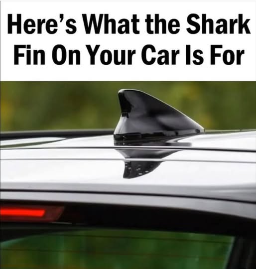 Why Your Car Has a Shark Fin Antenna — and What It Really Does