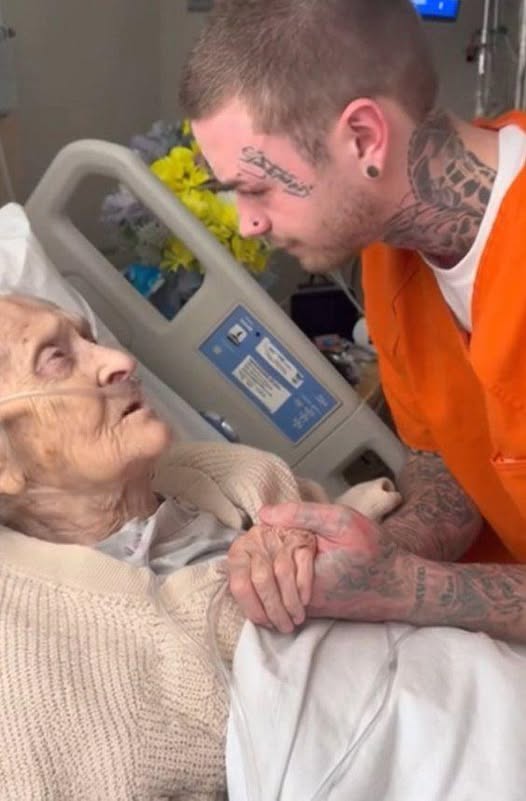 A Promise That Changed a Life: The Story of Joey and Eleanor