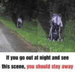 Abandoned Stroller Found on Road Shocks Woman — The Chilling Warning She Shares