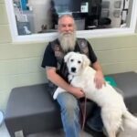 Biker Finds Abandoned Dog at 3 AM — What Happened Next Changed a Family