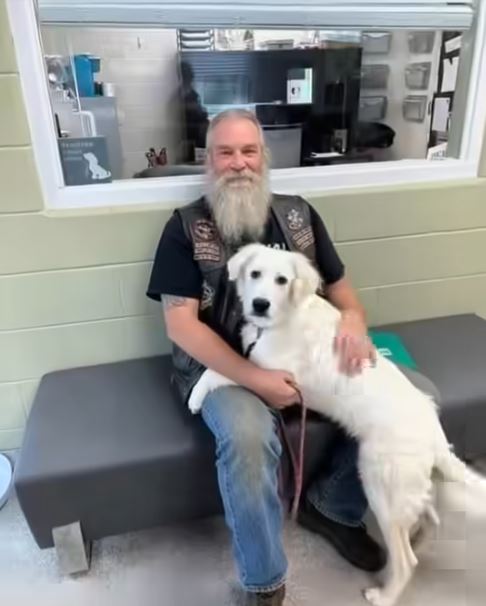 Biker Finds Abandoned Dog at 3 AM — What Happened Next Changed a Family