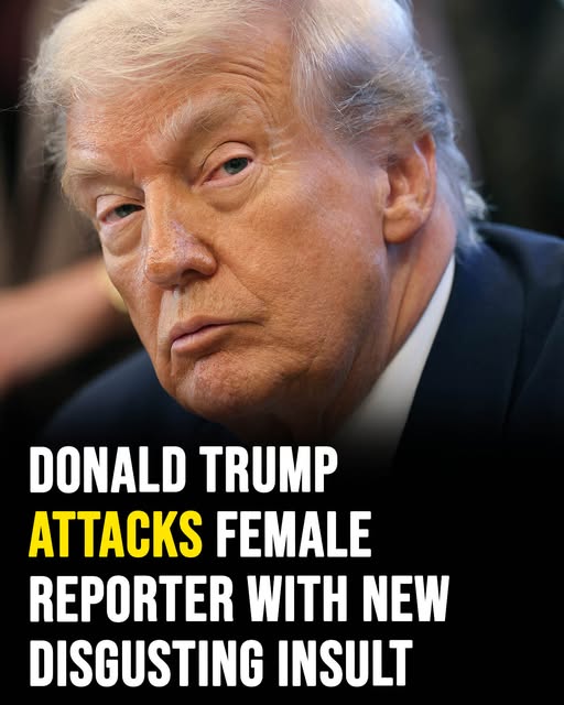 Donald Trump attacks female reporter with disgusting insult