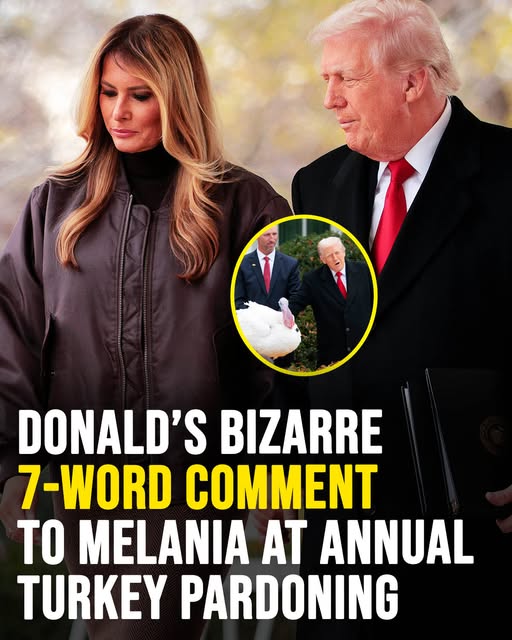 Donald Trump’s bizarre 7-word comment to Melania at turkey pardoning