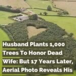 Farmer Plants 1000 Oak Trees