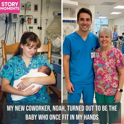 “Full Circle: A NICU Nurse’s Journey of Caring and Reconnection”