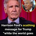 Harrison Ford has scathing message for Donald Trump