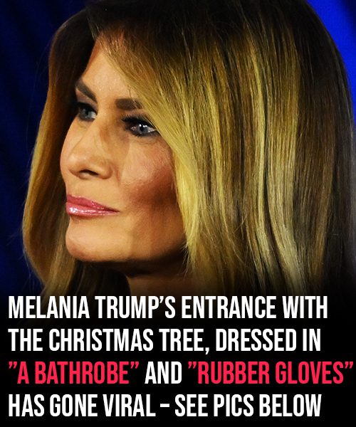 Melania Trump sparks internet frenzy with White House Christmas outfit