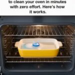 Nana’s Simple Trick to Sparkling Ovens
