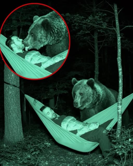 THE MIDNIGHT KISS: THE SURVIVALIST, THE ROCKIES, AND THE BEAR THAT LEFT THE WORLD SPEECHLESS