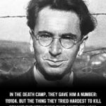 The Indomitable Spirit: Viktor Frankl and the Power of Meaning