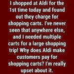 The Real Reason Aldi Makes You Pay For Shopping Carts!