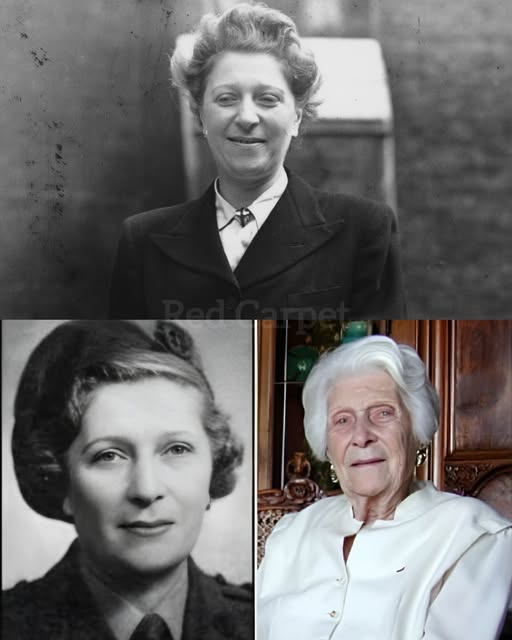 The Silent Hero: Lise de Baissac, the Unseen Force Behind the Resistance