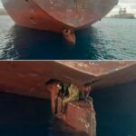 Three Men Eleven Days One Impossible Journey The Miraculous Survival Across the Atlantic