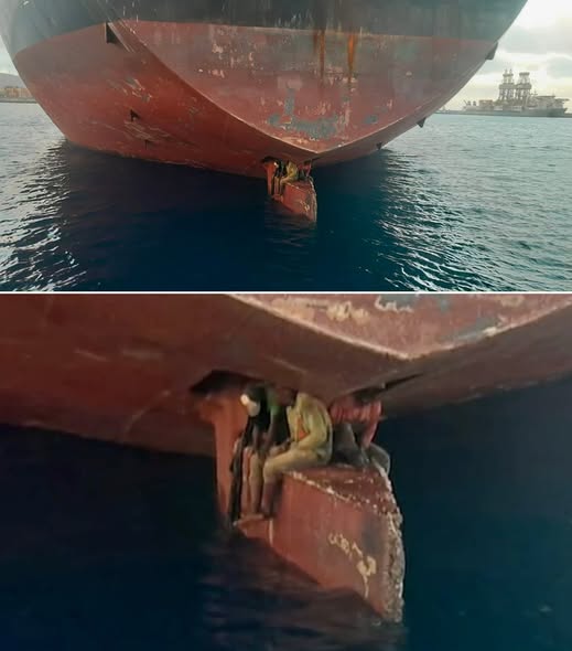 Three Men Eleven Days One Impossible Journey The Miraculous Survival Across the Atlantic