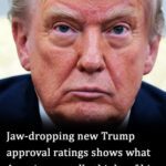 What Americans really think about Trump: Latest approval ratings