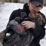 Andrea Cisternino: A True Hero for Rescue Dogs in Ukraine