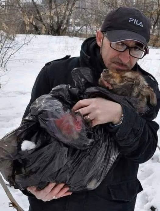 Andrea Cisternino: A True Hero for Rescue Dogs in Ukraine