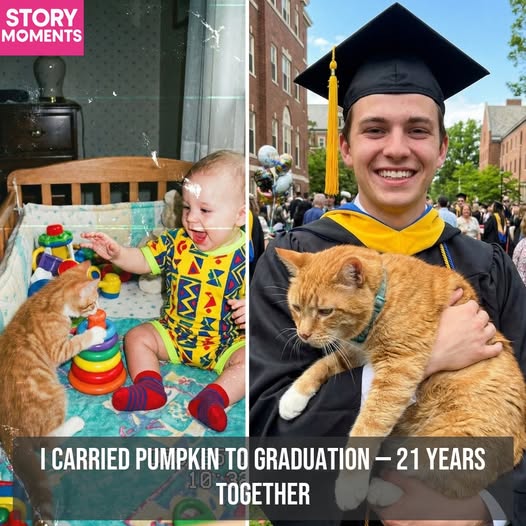 He Story of Pumpkin: A Lifelong Bond