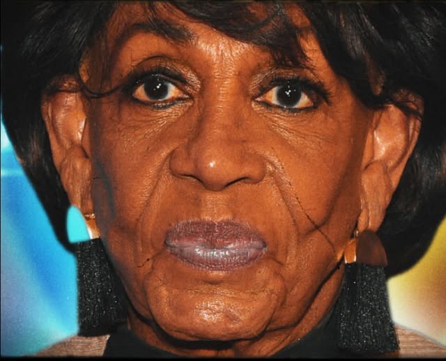 Maxine Waters vs. Elon Musk: A Political Clash that Could Redefine 2024