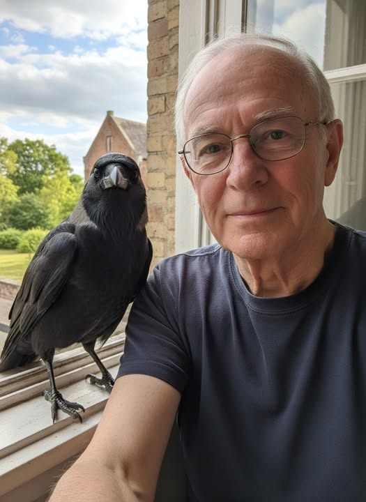 The Crow at My Window: A Story of Unexpected Friendship