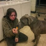 The Heartwarming Loyalty of a Girl and Her Pitbull: A Thanksgiving Eve Story
