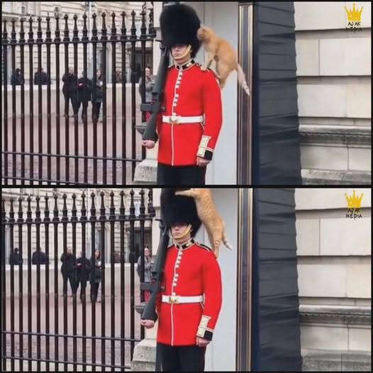 The Queen’s Guard: Unflinching and Unmovable