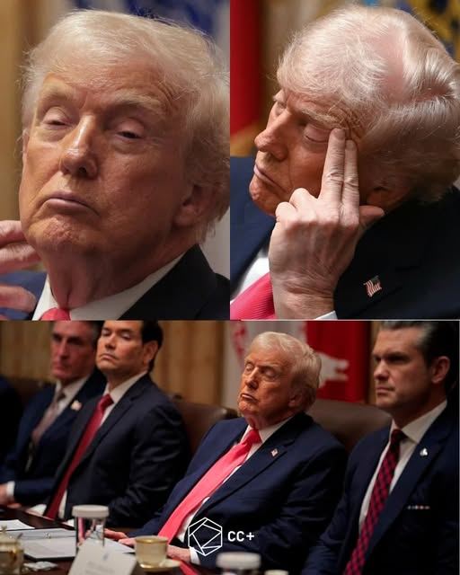 The Trump Cabinet Meeting: A Moment of Praise Amidst Struggles to Stay Awake