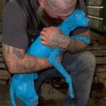 The Unlikely Hero: A Biker’s Compassion for a Struggling Pup