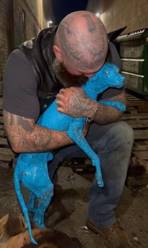 The Unlikely Hero: A Biker’s Compassion for a Struggling Pup