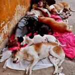 The Unseen Riches of a Homeless Man: A Heart That Gives More Than It Has