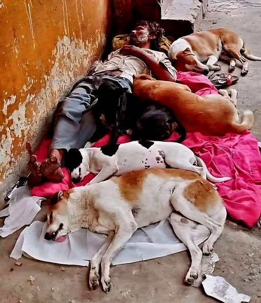 The Unseen Riches of a Homeless Man: A Heart That Gives More Than It Has