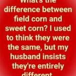 You’ve Been Seeing These Two Corns Your Whole Life—Here’s the Difference
