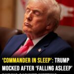 ‘Commander in sleep’: Trump mocked after appearing to fall asleep in cabinet meeting